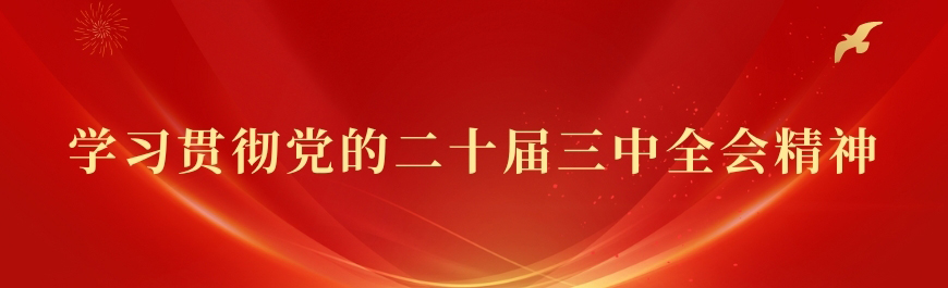 學習貫徹黨的二十屆三中全會精神